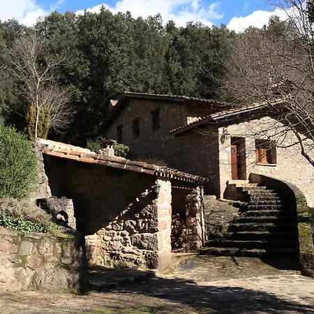 Moli D'en Puig *