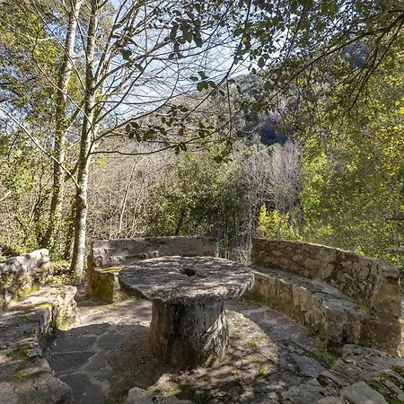 Dağ evi Moli D'en Puig