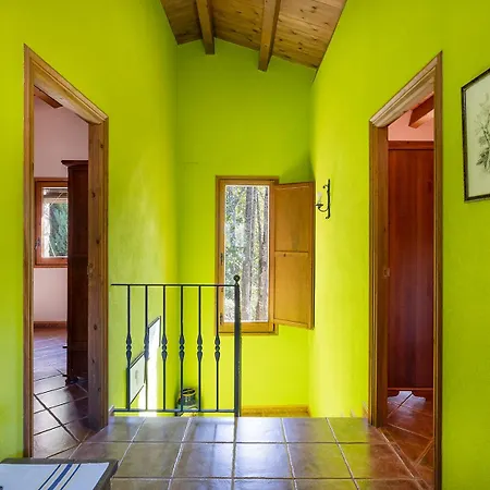 Dağ evi Moli D'en Puig La Vall de Bianya