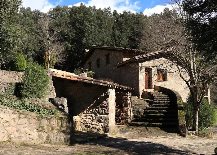 Moli D'en Puig *